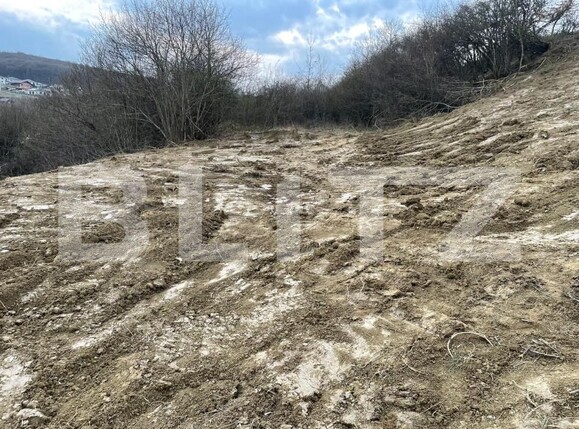 Teren de vânzare Exterior Est - 148416TV | BLITZ Bistriţa | Poza2