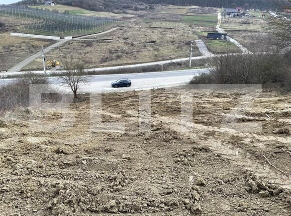 Teren de vânzare Exterior Est - 148416TV | BLITZ Bistriţa | Poza4