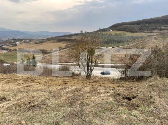 Teren de vânzare Exterior Est - 148416TV | BLITZ Bistriţa | Poza15