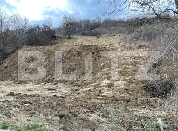 Teren de vânzare Exterior Est - 148416TV | BLITZ Bistriţa | Poza20