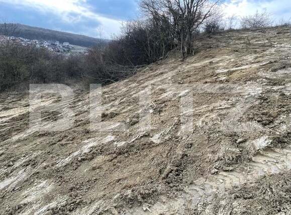 Teren de vânzare Exterior Est - 148416TV | BLITZ Bistriţa | Poza14