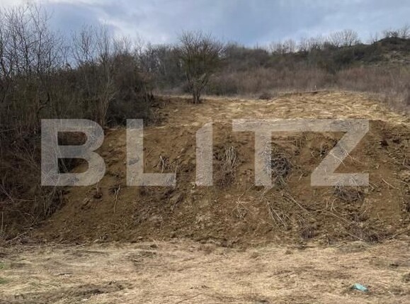 Teren de vânzare Exterior Est - 148416TV | BLITZ Bistriţa | Poza1