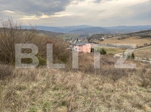 Teren de vânzare Exterior Est - 148416TV | BLITZ Bistriţa | Poza8