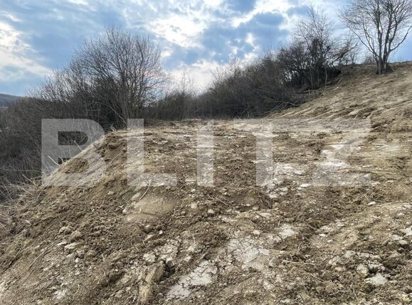 Teren de vânzare Exterior Est - 148416TV | BLITZ Bistriţa | Poza17