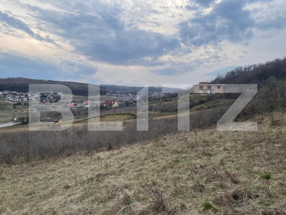 Teren de vânzare Exterior Est - 148416TV | BLITZ Bistriţa | Poza7