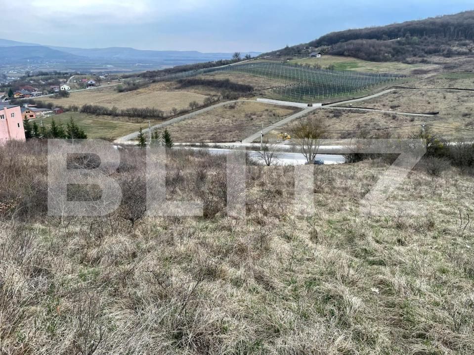 Teren de vânzare Exterior Est - 148416TV | BLITZ Bistriţa | Poza9