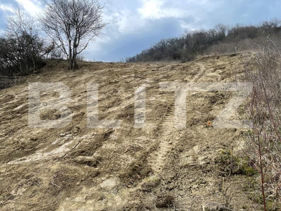 Teren de vânzare Exterior Est - 148416TV | BLITZ Bistriţa | Poza3