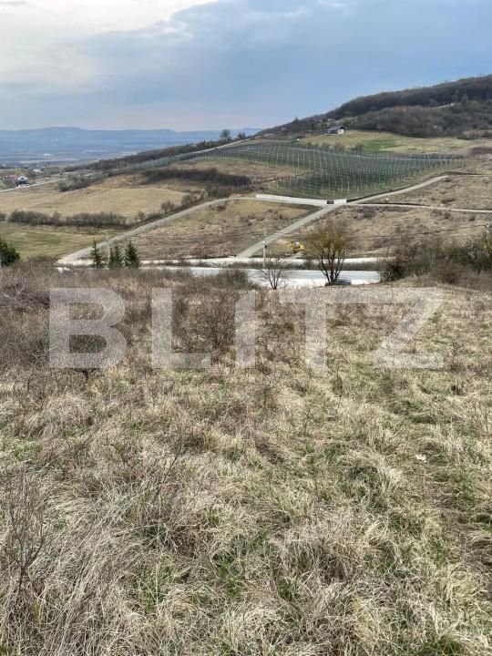 Teren de vânzare Exterior Est - 148416TV | BLITZ Bistriţa | Poza11