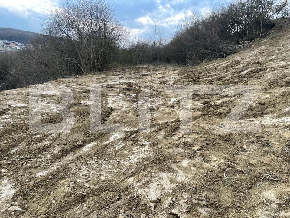 Teren de vânzare Exterior Est - 148416TV | BLITZ Bistriţa | Poza2