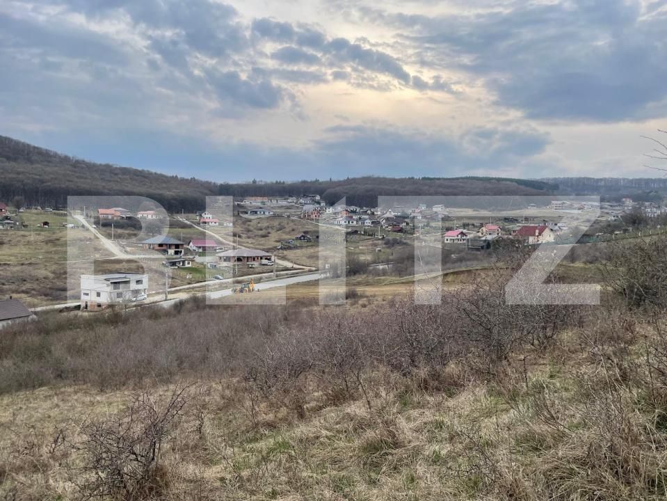 Teren de vânzare Exterior Est - 148416TV | BLITZ Bistriţa | Poza10