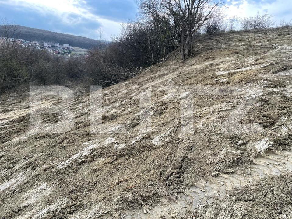 Teren de vânzare Exterior Est - 148416TV | BLITZ Bistriţa | Poza14