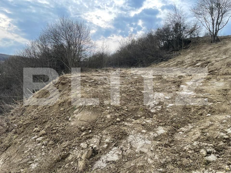 Teren de vânzare Exterior Est - 148416TV | BLITZ Bistriţa | Poza17