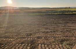 Teren de 28800MP(2.8ha). Pregatit pentru investitie! 