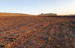 Teren de 28800MP(2.8ha). Pregatit pentru investitie! 