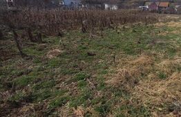 Teren intravilan 1200mp,intre pasarela si Viisoara