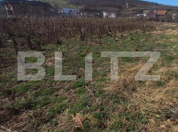 Teren de vânzare Viișoara - 148422TV | BLITZ Bistriţa | Poza1