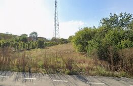 Teren de vânzare – Valea Ghinzii, 950 mp