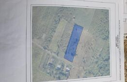 Teren, 21.5 Ari, zona Padurea Sigmirului 