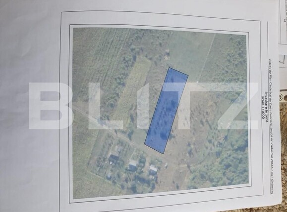 Teren de vânzare Viișoara - 148509TV | BLITZ Bistriţa | Poza1