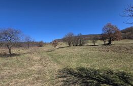 Teren de vanzare de 8,567MP in zona: Tarpiului