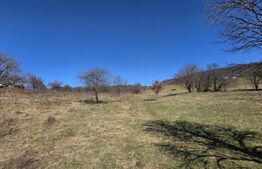 Teren de vanzare de 8,567MP in zona: Tarpiului