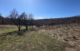 Teren de vanzare de 8,567MP in zona: Tarpiului