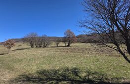 Teren de vanzare de 8,567MP in zona: Tarpiului