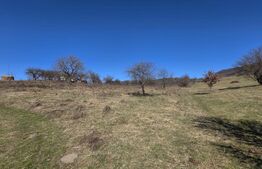 Teren de vanzare de 8,567MP in zona: Tarpiului