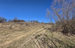Teren de vanzare de 8,567MP in zona: Tarpiului