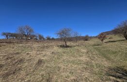 Teren de vanzare de 8,567MP in zona: Tarpiului