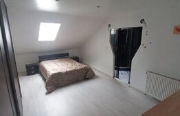 Casa de locuit cu 7spatii de birouri, Zona Centrala