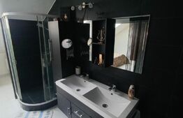 Casa de locuit cu 7spatii de birouri, Zona Centrala