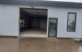 Hala 72mp, Zona Centura