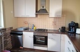 Casa cu o suprafata utila 200 mp, 310 mp teren, zona Unirea