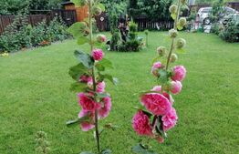 Casa cu o suprafata utila 200 mp, 310 mp teren, zona Unirea