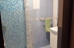 Casa cu o suprafata utila 200 mp, 310 mp teren, zona Unirea