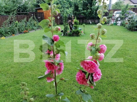 Casa de vânzare 6 camere Unirea - 148631CV | BLITZ Bistriţa | Poza11