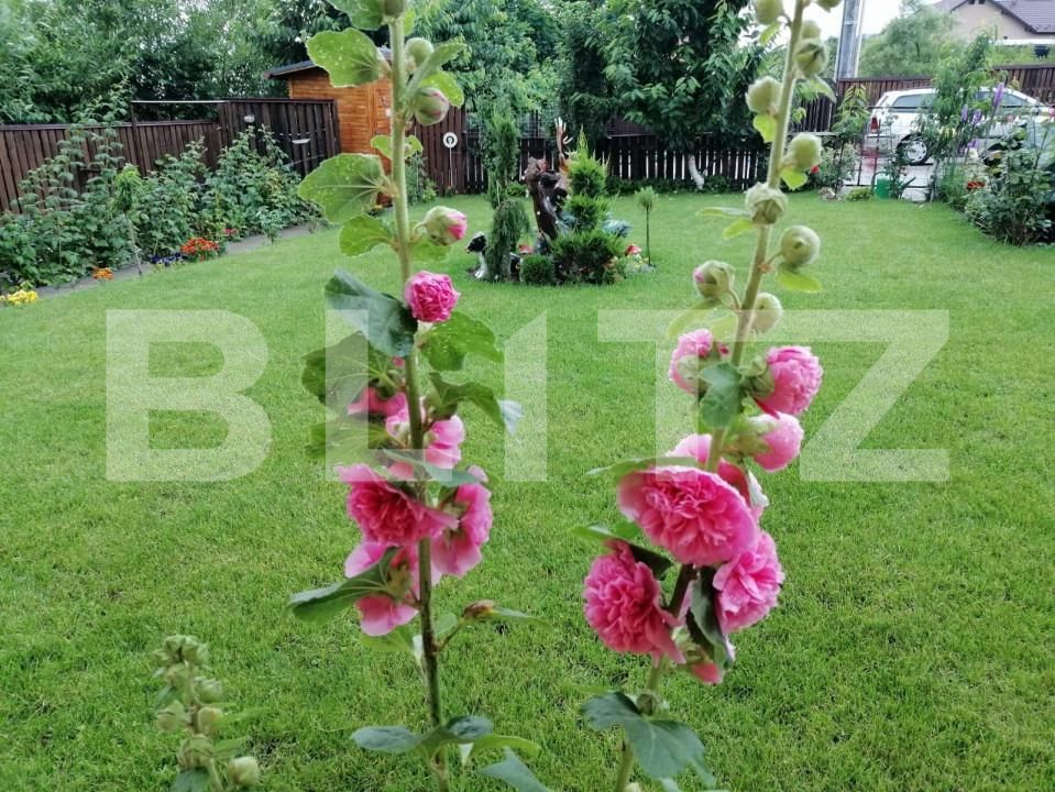 Casa de vânzare 6 camere Unirea - 148631CV | BLITZ Bistriţa | Poza11