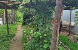 Casa 70mp, zona Bargaului 