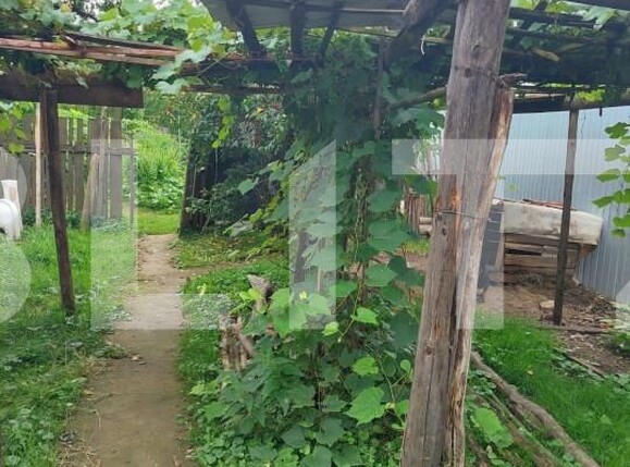 Casa de vânzare 1 camera Nord - 148632CV | BLITZ Bistriţa | Poza7