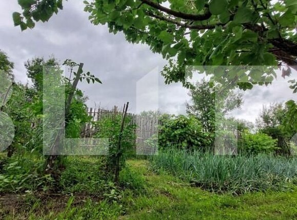 Casa de vânzare 1 camera Nord - 148632CV | BLITZ Bistriţa | Poza5