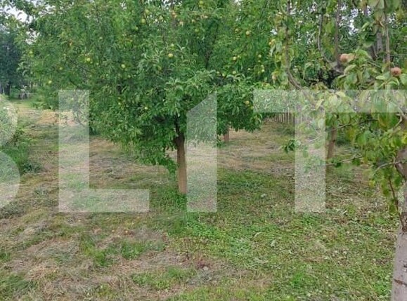 Casa de vânzare 1 camera Nord - 148632CV | BLITZ Bistriţa | Poza6