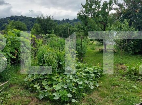 Casa de vânzare 1 camera Nord - 148632CV | BLITZ Bistriţa | Poza3