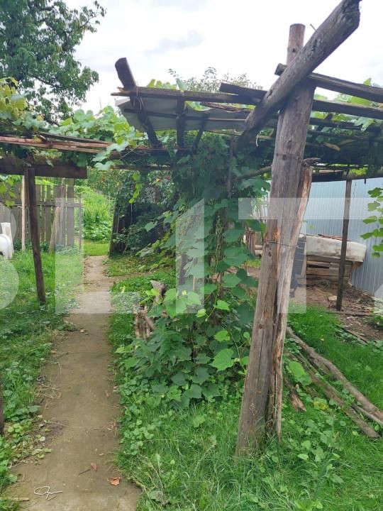 Casa de vânzare 1 camera Nord - 148632CV | BLITZ Bistriţa | Poza7