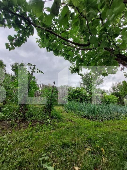 Casa de vânzare 1 camera Nord - 148632CV | BLITZ Bistriţa | Poza5