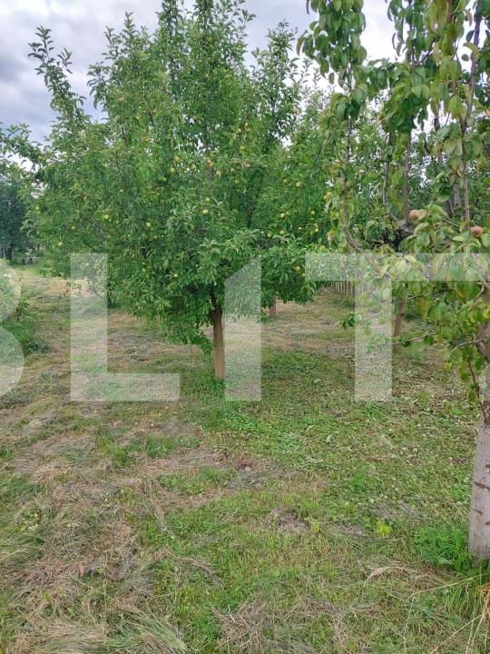 Casa de vânzare 1 camera Nord - 148632CV | BLITZ Bistriţa | Poza6