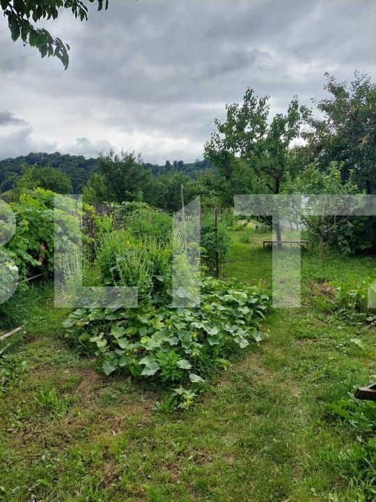 Casa de vânzare 1 camera Nord - 148632CV | BLITZ Bistriţa | Poza3