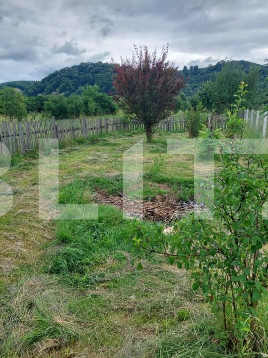 Casa de vânzare 1 camera Nord - 148632CV | BLITZ Bistriţa | Poza2