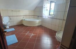 Casa situata la 5 min de oras si 2500mp teren