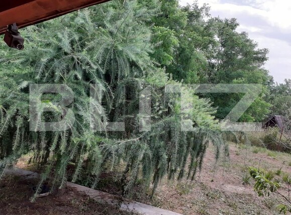 Casa de vânzare 3 camere Exterior Sud - 148635CV | BLITZ Bistriţa | Poza2